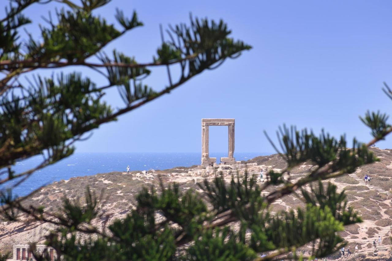 Mariet Naxos Spa & Suites Naxos City Ngoại thất bức ảnh
